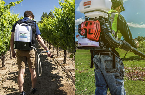 backpack on the back of a person